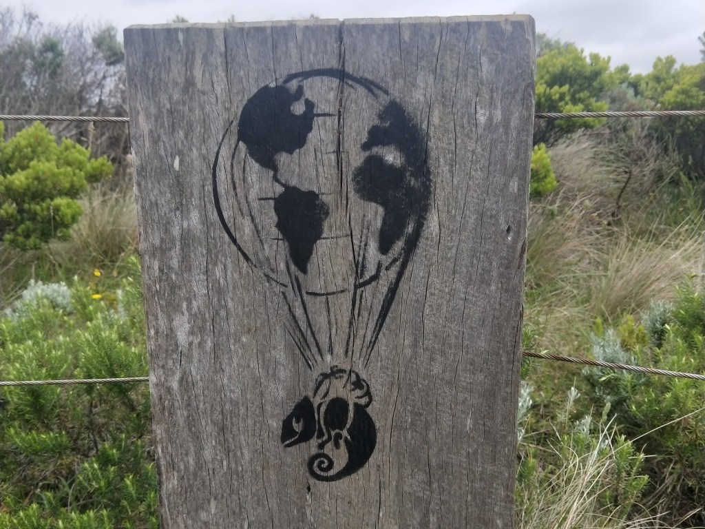 Day 5: 24th of November OR The Day the Markets let me&nbsp;Down