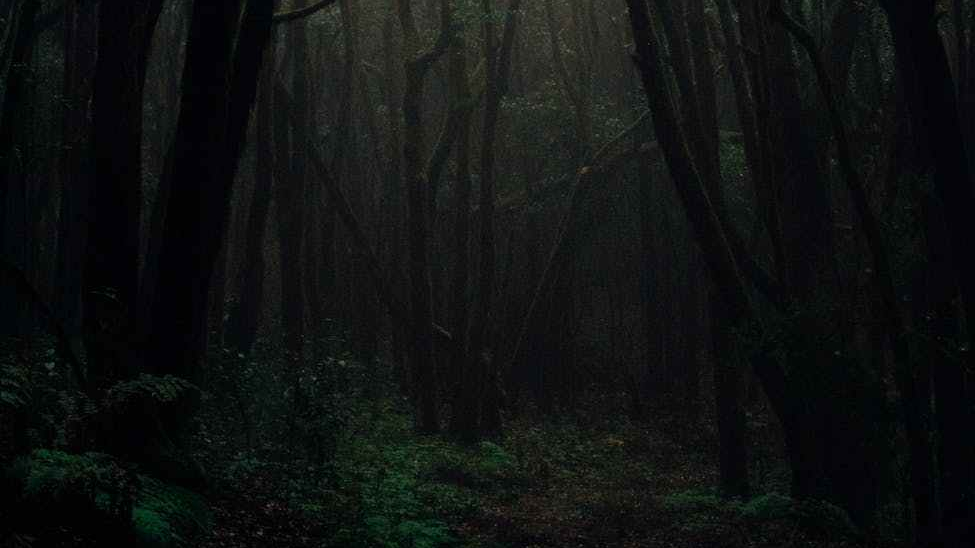 Saturday WriteO Prompt:&nbsp;Clap