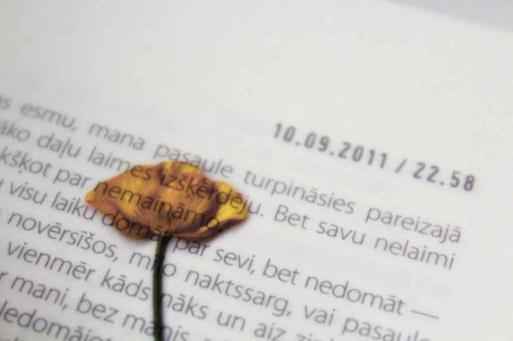 Tuesday WriteO Poetry Prompt:&nbsp;Room