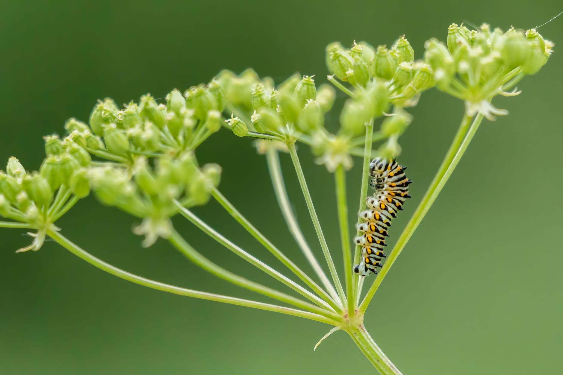 Saturday WriteO Prompt: Transform