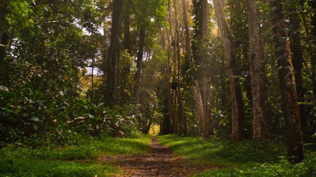 Thursday WriteO Setting Prompt:&nbsp;Damp