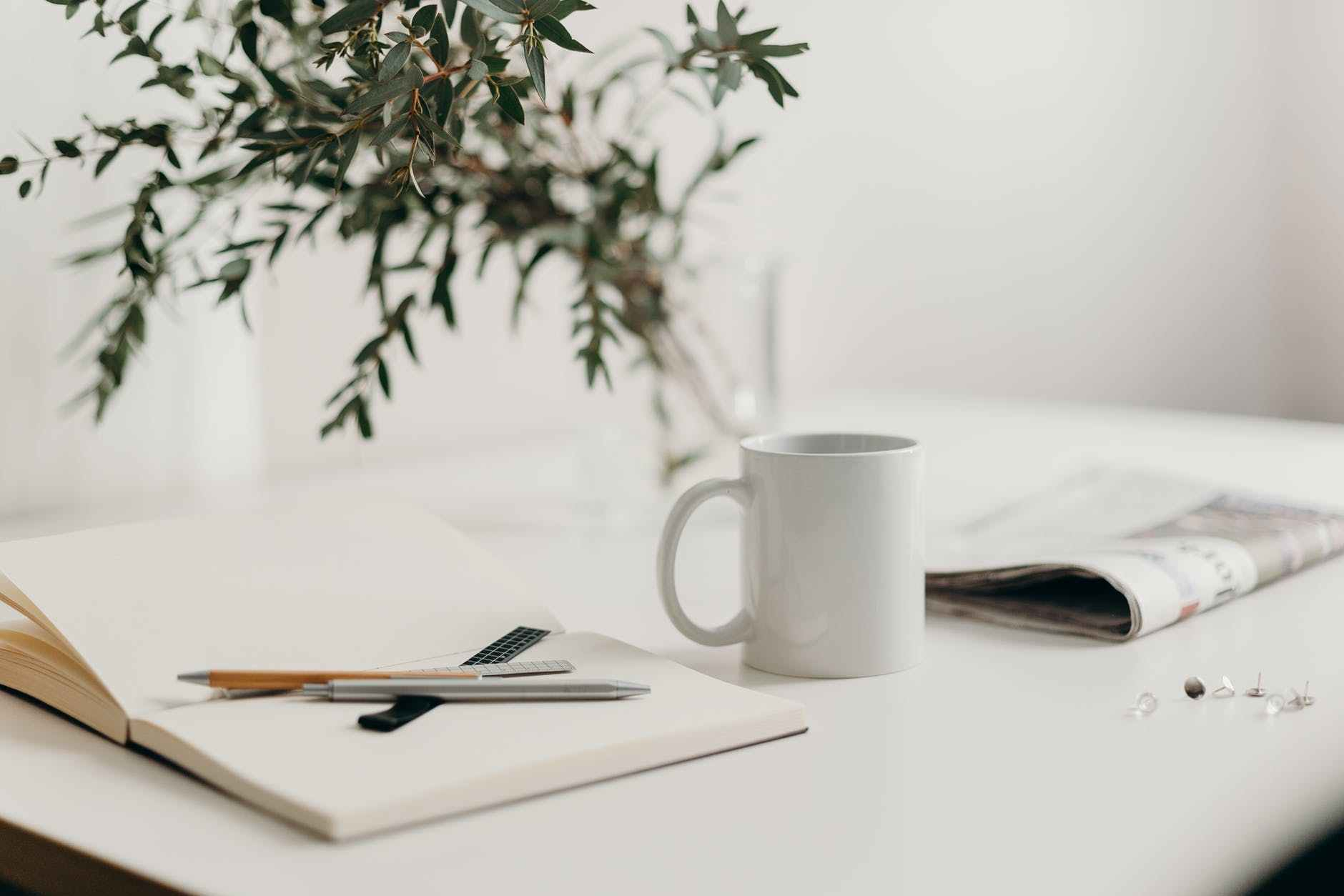 Writing Reflection: Week of the 11th May 2020