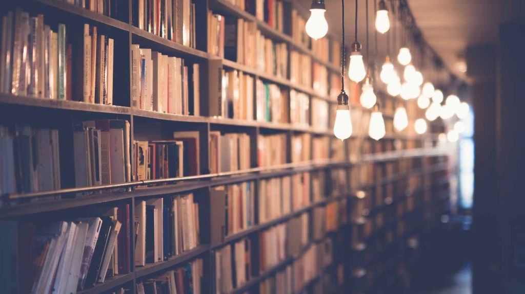 Combing through the&nbsp;Literature