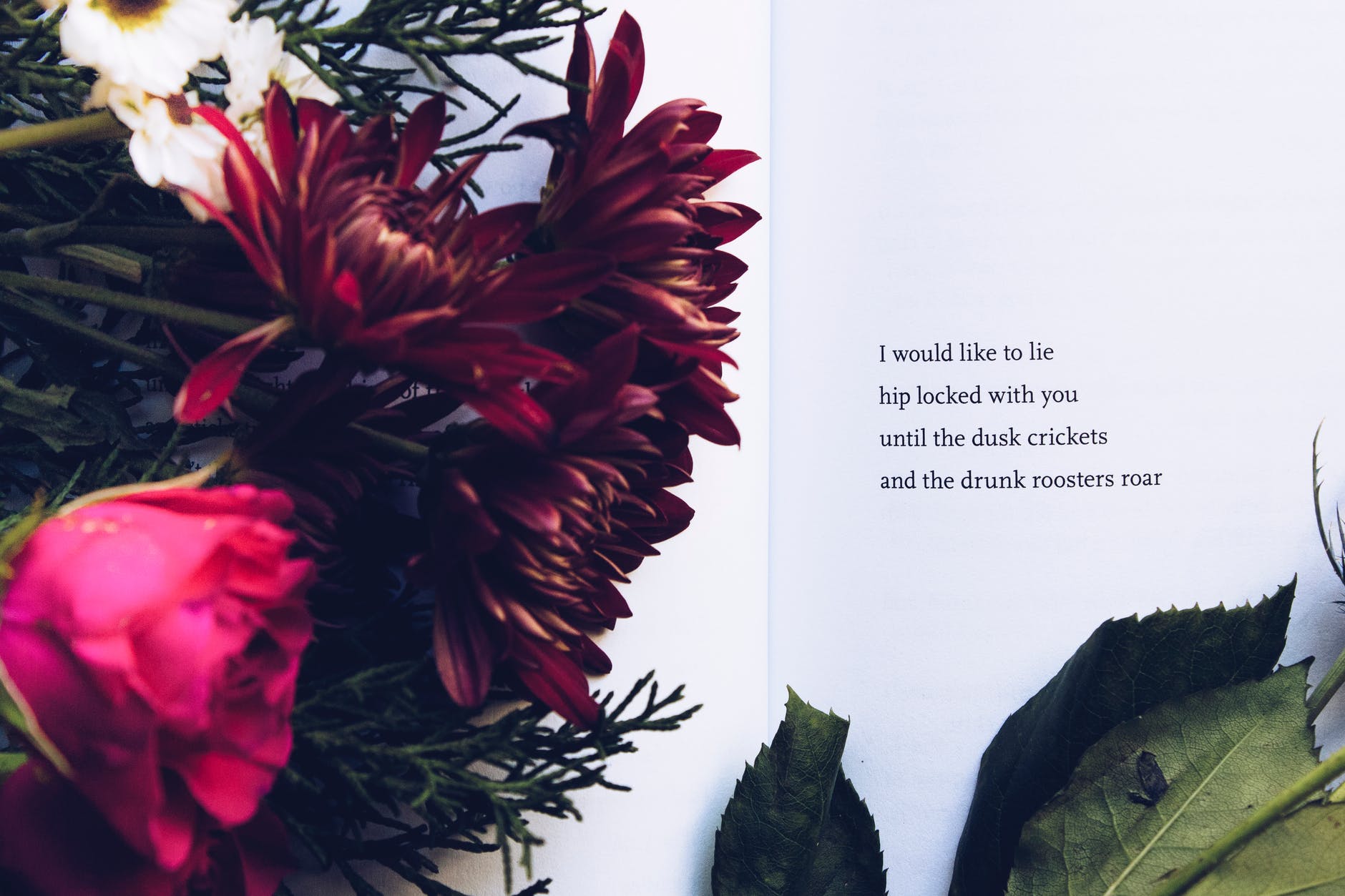 Reading Poetry