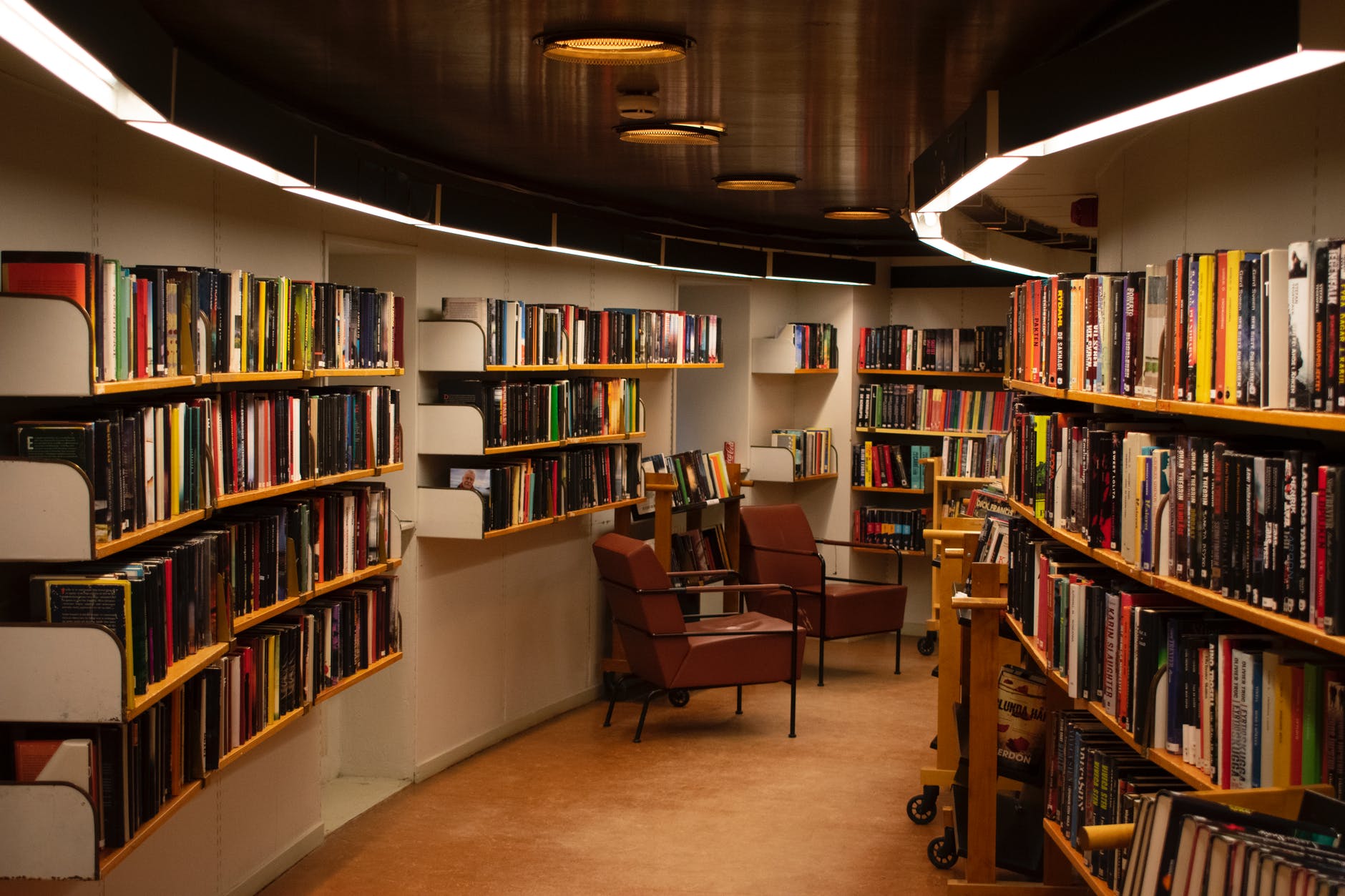 100th Streak Post! ~ Meet me at the Virtual Library