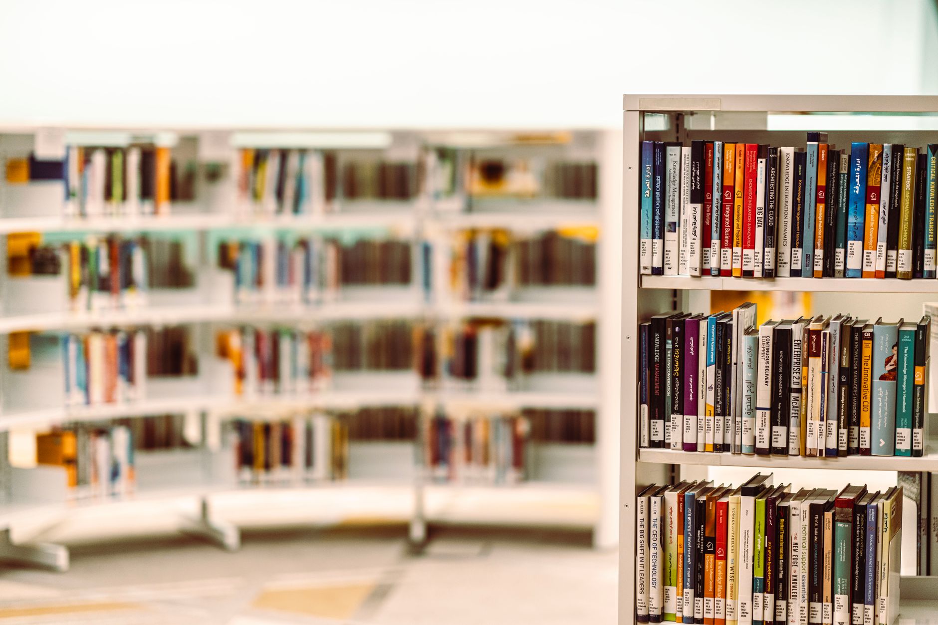 shelves with books in library